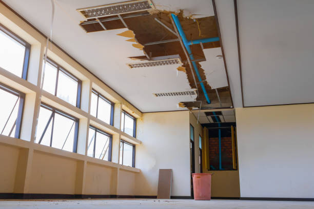 Best Local water damage restoration  in Centreville, MD