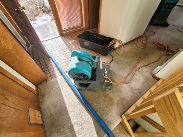 Best Water damage cleanup near me  in Centreville, MD