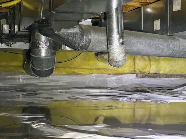 Best Water damage contractors near me  in Centreville, MD