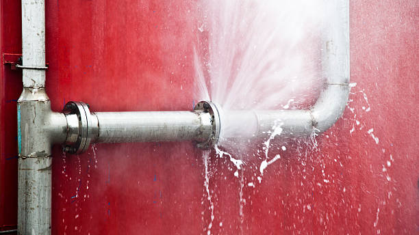 Best 24-hour water damage restoration  in Centreville, MD